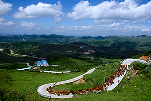 山村致富路